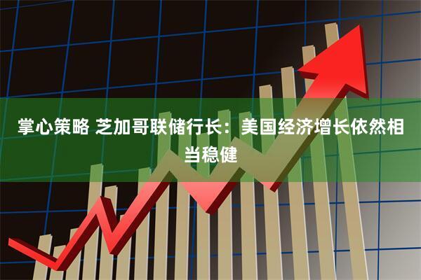 掌心策略 芝加哥联储行长：美国经济增长依然相当稳健