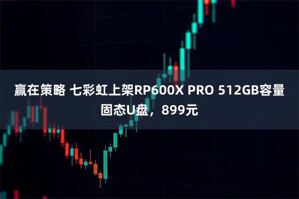 赢在策略 七彩虹上架RP600X PRO 512GB容量固态U盘，899元